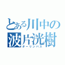 とある川中の波片洸樹（ダーリンパス）