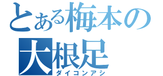 とある梅本の大根足（ダイコンアシ）