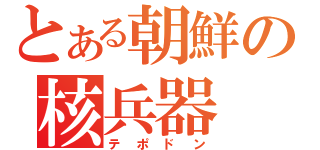 とある朝鮮の核兵器（テポドン）