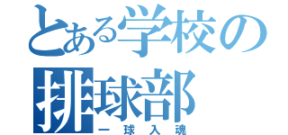 とある学校の排球部（一球入魂）