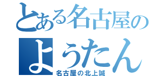 とある名古屋のようたん（名古屋の北上誠）