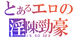 とあるエロの淫陳勁豪（ＩＳ ＳＯ ＳＥＸ）