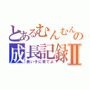 とあるむんむんの成長記録Ⅱ（良い子に育てよ）