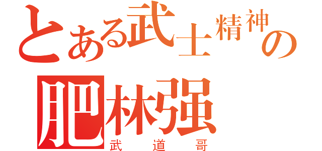 とある武士精神の肥林强（武道哥）