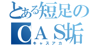 とある短足のＣＡＳ垢（キャスアカ）