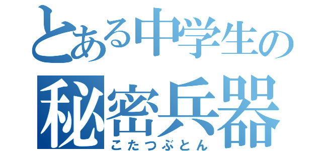 とある中学生の秘密兵器（こたつぶとん）