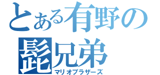 とある有野の髭兄弟（マリオブラザーズ）