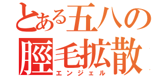 とある五八の脛毛拡散（エンジェル）