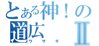 とある神！の道広Ⅱ（ウサギ）