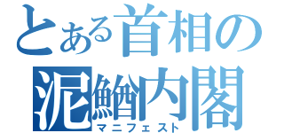 とある首相の泥鰌内閣（マニフェスト）