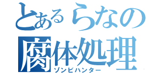 とあるらなの腐体処理（ゾンビハンター）