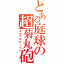 とある庭球の超菊丸砲（キクマルビーム）