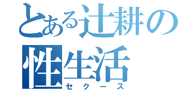 とある辻耕の性生活（セクース）