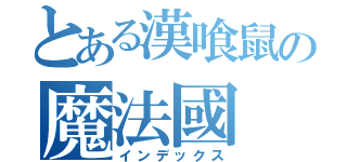 とある漢喰鼠の魔法國（インデックス）