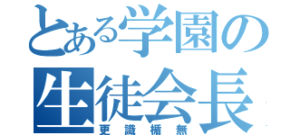 とある学園の生徒会長（更識楯無）