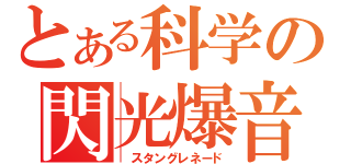 とある科学の閃光爆音（　スタングレネード）