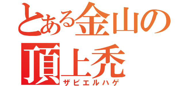 とある金山の頂上禿（ザビエルハゲ）