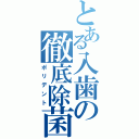 とある入歯の徹底除菌（ポリデント）