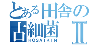 とある田舎の古細菌Ⅱ（ＫＯＳＡＩＫＩＮ）