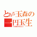 とある玉森の一円玉生活（ＴＡＭＡＮＥＧＩ）