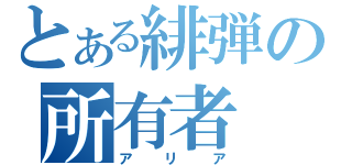 とある緋弾の所有者（アリア）