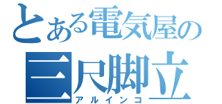 とある電気屋の三尺脚立（アルインコ）