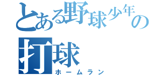 とある野球少年の打球（ホームラン）