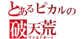 とあるピカルの破天荒（ワイルドボーイ）