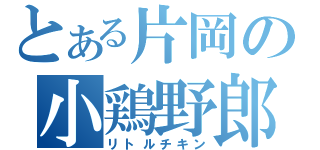 とある片岡の小鶏野郎（リトルチキン）