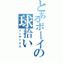 とあるボーイの球拾い（インデックス）