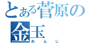 とある菅原の金玉（れんじ）