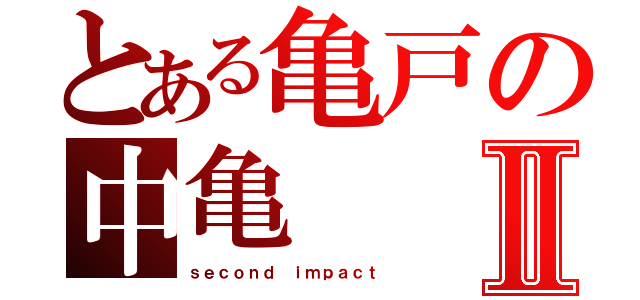 とある亀戸の中亀Ⅱ（ｓｅｃｏｎｄ ｉｍｐａｃｔ）