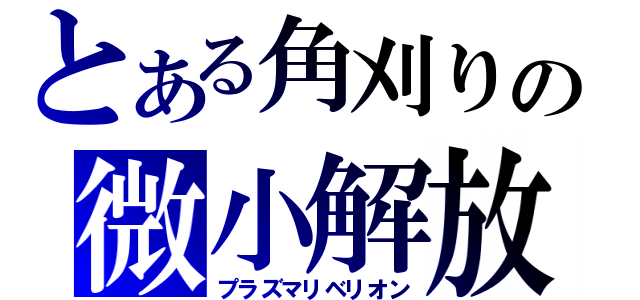 とある角刈りの微小解放（プラズマリベリオン）