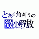 とある角刈りの微小解放（プラズマリベリオン）