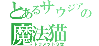 とあるサウジアラビアの魔法猫（ドラメッド３世）