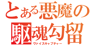 とある悪魔の駆魂勾留（ヴァイスキャプチャー）