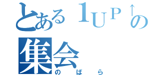 とある１ＵＰ↑の集会（のばら）