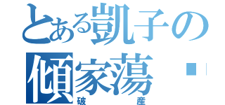 とある凱子の傾家蕩產（破産）