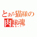 とある猫様の肉球魂（肉球パワー）