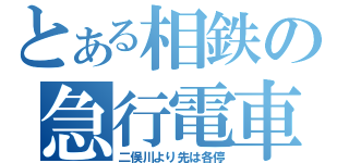 とある相鉄の急行電車（二俣川より先は各停）