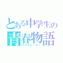 とある中学生の青春物語（ラブストーリー）