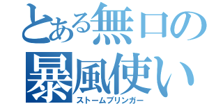 とある無口の暴風使い（ストームブリンガー）