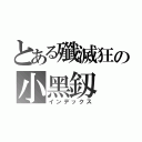 とある殲滅狂の小黑釼（インデックス）