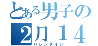 とある男子の２月１４日（バレンタイン）