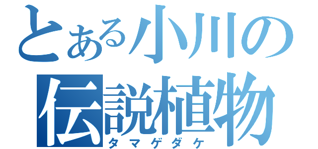 とある小川の伝説植物（タマゲダケ）