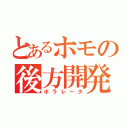 とあるホモの後方開発（ホラレータ）