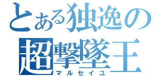 とある独逸の超撃墜王（マルセイユ）