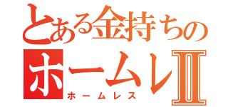 とある金持ちのホームレスⅡ（ホームレス）