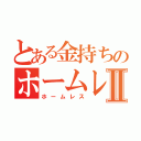 とある金持ちのホームレスⅡ（ホームレス）