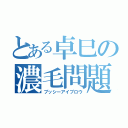 とある卓巳の濃毛問題（ブッシーアイブロウ）